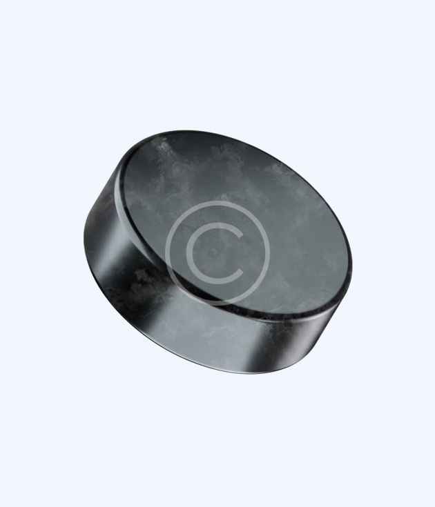 Official game hockey puck
